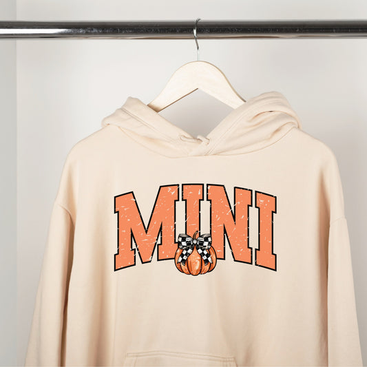 Mini Pumpkin with bow